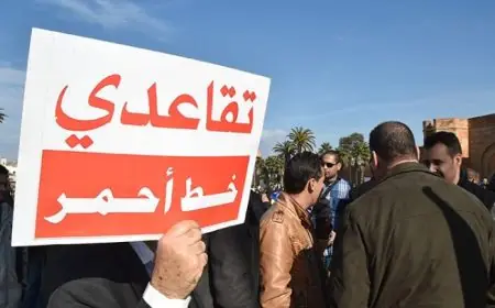 رجاء لـ"تيليغراف.ما" : "وعود إصلاح التقاعد في البرنامج الحكومي تحتاج إلى كلفة مالية" (حوار)