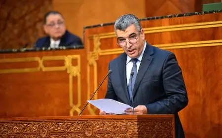 الدحماني لـ"تيليغرف.ما" : "غضب لقجع من اختلالات الأسعار يكشف رهان الحكومة الجديدة على القدرة الشرائية"