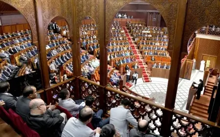 مجلس النواب يفتتح رقابته على الحكومة بأسئلة شفوية حول التعليم العالي والتجارة الخارجية