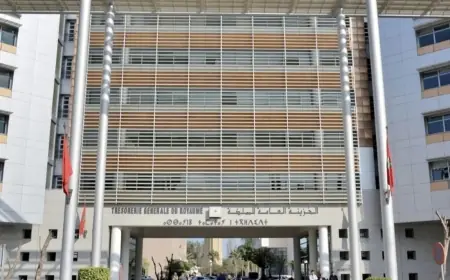 الخزينة العامة: ارتفاع المداخيل الجبائية للجماعات الترابية إلى 37.9 مليار درهم نهاية شتنبر