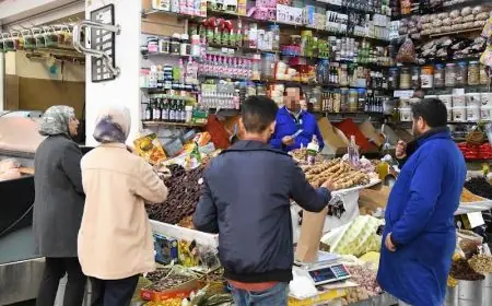 آيت علي لـ“تيليغراف”:" خفض تكاليف التوزيع شرط أساسي لنجاح الشركات الجهوية وضبط أسعار المواد الغذائية"