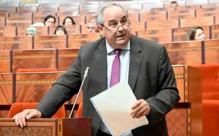 ميداوي: بطالة حاملي الإجازة تتجاوز 20% بالمغرب