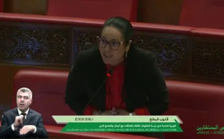 فيطح تدافع عن دستورية إيداع مشروع مالية 2027 قبل تنصيب الحكومة