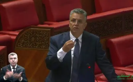 وهبي يدعو إلى مراجعة مساطر التقاضي وتوسيع الوساطة لتخفيف الضغط على المحاكم