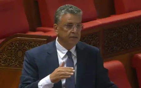 وهبي: محاربة الفساد تستوجب احترام القانون وحماية المواطنين من التعسف