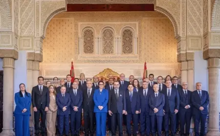 الجريدة الرسمية تنشر اختصاصات عدد من وزراء الحكومة الجديدة التي تقودها المنصوري وتحددها بالتفصيل