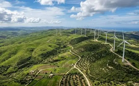 Climat : 32 milliards de dirhams d'investissements verts réalisés par les EEP marocains