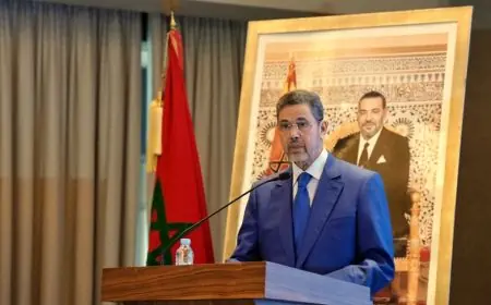 عبد النباوي يؤكد أن المحامين شركاء أساسيون لا غنى عنهم في منظومة العدالة