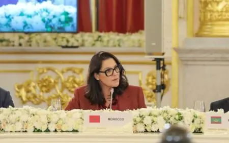المنصوري: المغرب ضمن أكبر ثلاثة شركاء اقتصاديين لروسيا في إفريقيا