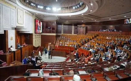 الومغاري: غياب مشاريع اقتصادية حقيقية يبقي النمو رهينا بالتساقطات المطرية