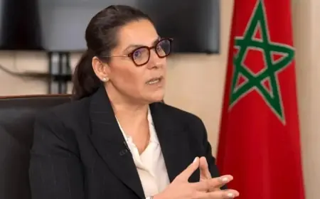 المنظمة الديمقراطية للنقل واللوجستيك تدعو فاطمة الزهراء المنصوري إلى إصلاح قطاع النقل الطرقي