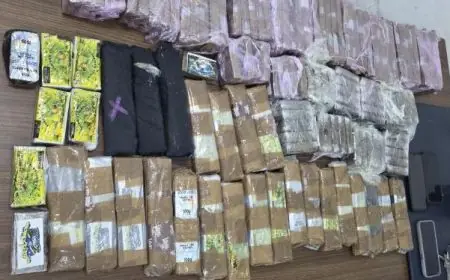 توقيف ثلاثة أشخاص وحجز 36 كيلوغراماً من المخدرات بطنجة
