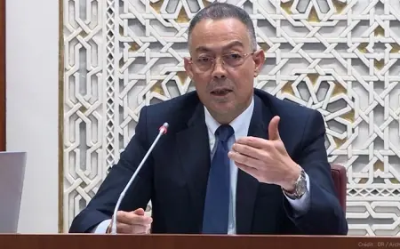 لقجع يكشف تفاصيل جديدة عن قرار إعفاء المواطنين من فواتير الكهرباء التي لا تتجاوز 100 درهم