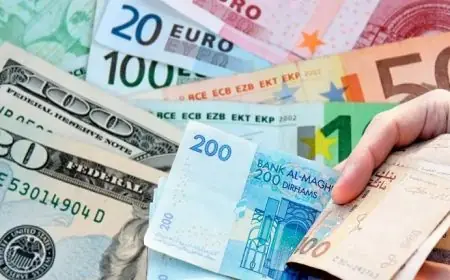 تحويلات مغاربة العالم تتجاوز 103 ملايير درهم خلال الأشهر التسعة الأولى من 2026
