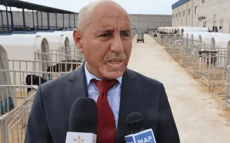 Agriculture : six bassins de production pour renforcer la souveraineté alimentaire du Maroc
