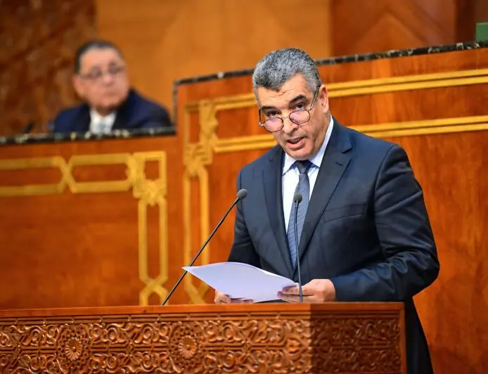 الدحماني لـ"تيليغراف.ما" : "تحسين القدرة الشرائية ومحاربة الفساد من أبرز رهانات حكومة المنصوري"