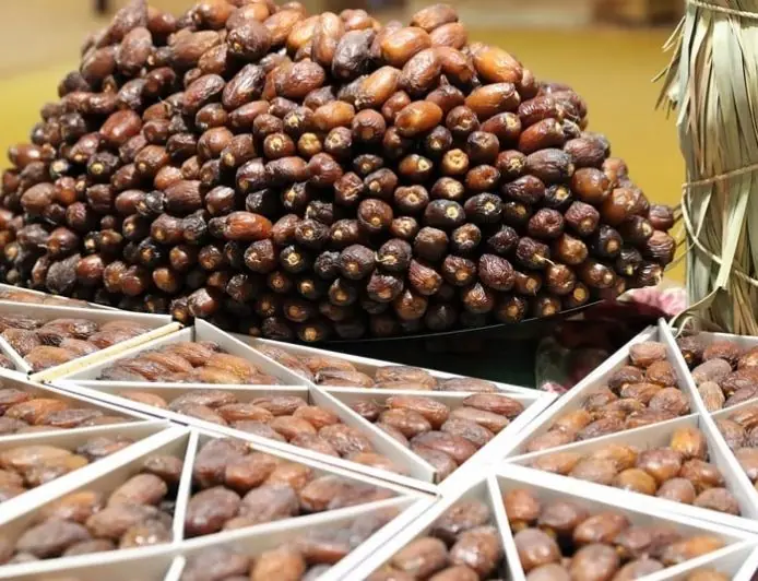 حاتيمي يتوقع إنتاج 180 ألف طن من التمور بالمغرب خلال الموسم الفلاحي المقبل