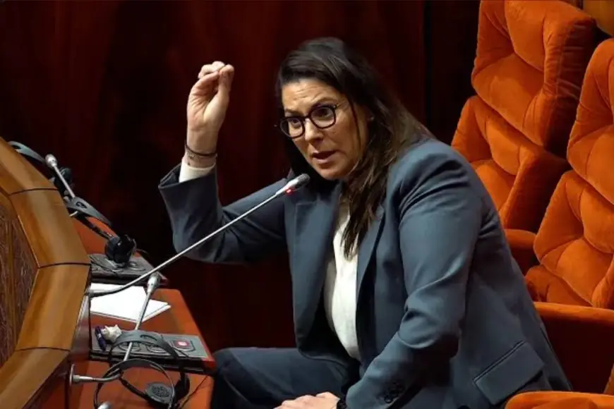 رئيسة الحكومة فاطمة الزهراء المنصوري تقدم البرنامج الحكومي أمام البرلمان الإثنين المقبل