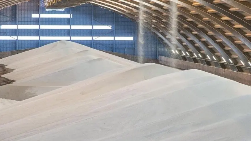 Phosphates : OCP et le groupe américain Koch renforcent leur alliance à Jorf avec une deuxième coentreprise