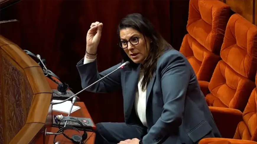 رئيسة الحكومة فاطمة الزهراء المنصوري تقدم البرنامج الحكومي أمام البرلمان الإثنين المقبل