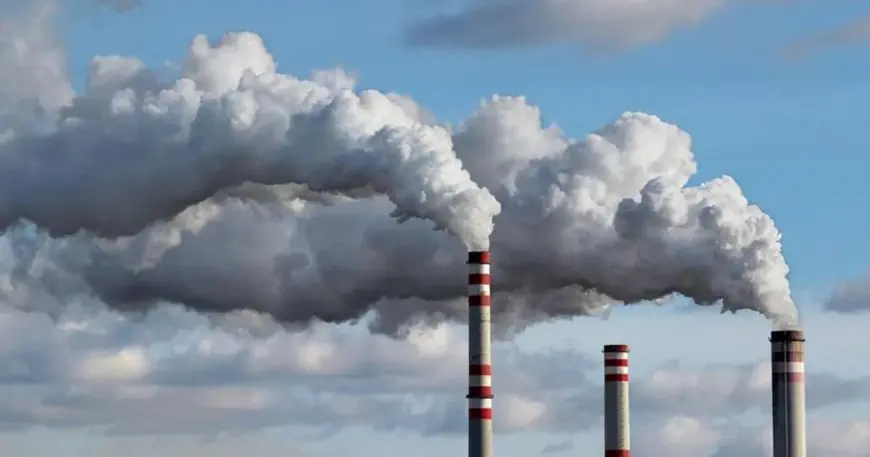 Décarbonation : Le patronat marocain prépare l'industrie au futur marché carbone