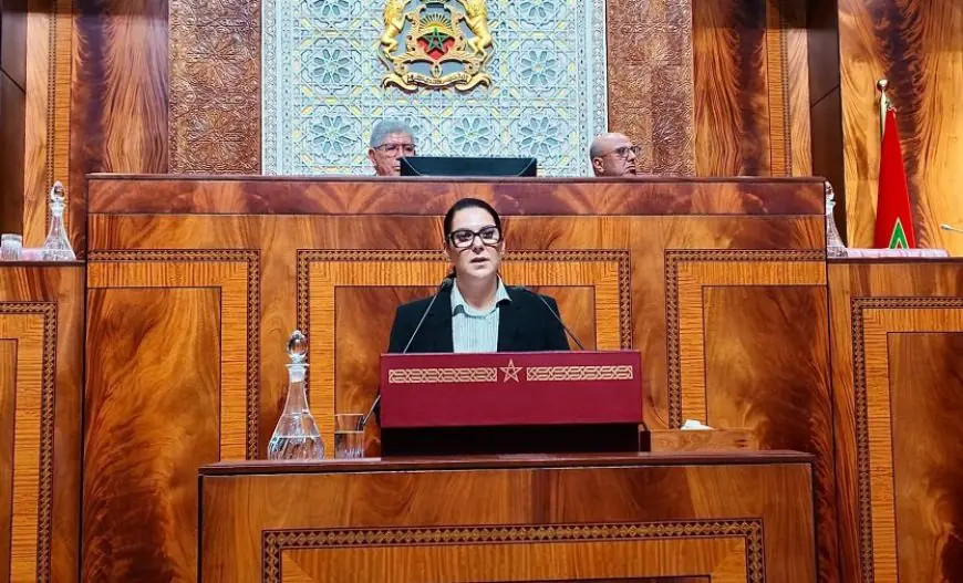 المنصوري: سنقوم بتجريم الإثراء غير المشروع ومحاربة تضارب المصالح وتشديد التصريح بالممتلكات