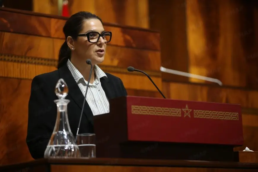 المنصوري: الصحراء المغربية في صدارة أولويات الحكومة