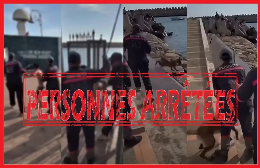 أكادير.. إحالة شخصين على النيابة العامة بعد تعنيف قاصر وتحريض كلب على الأطفال