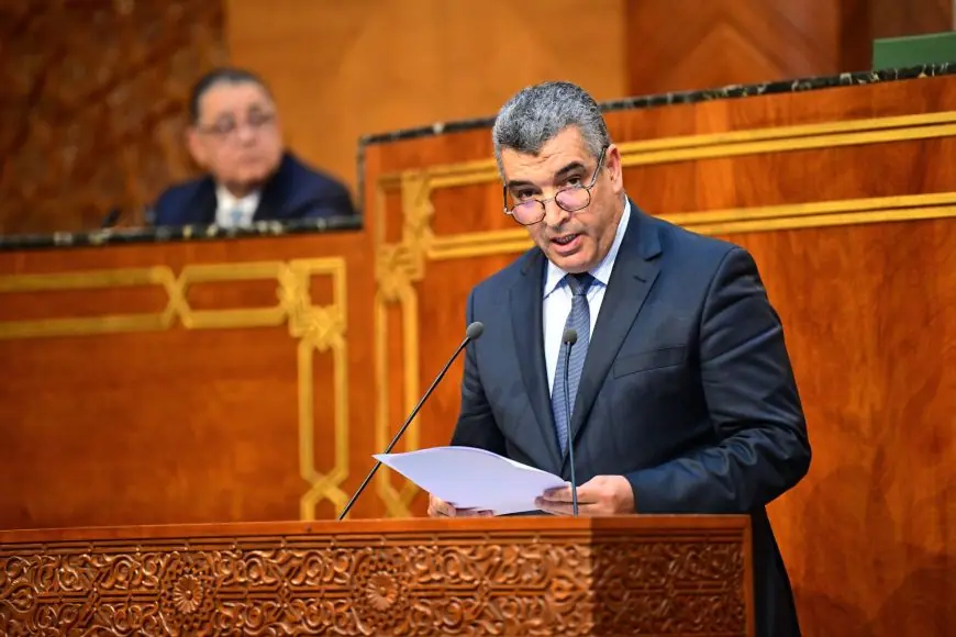 الدحماني لـ"تيليغراف.ما" : "تحسين القدرة الشرائية ومحاربة الفساد من أبرز رهانات حكومة المنصوري"