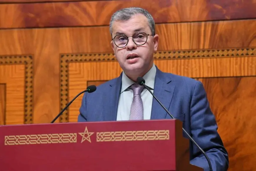 ملال لـ“تيليغراف.ما”: "الأغلبية مطالبة بمراقبة الحكومة واستعادة البرلمان دوره الدستوري"