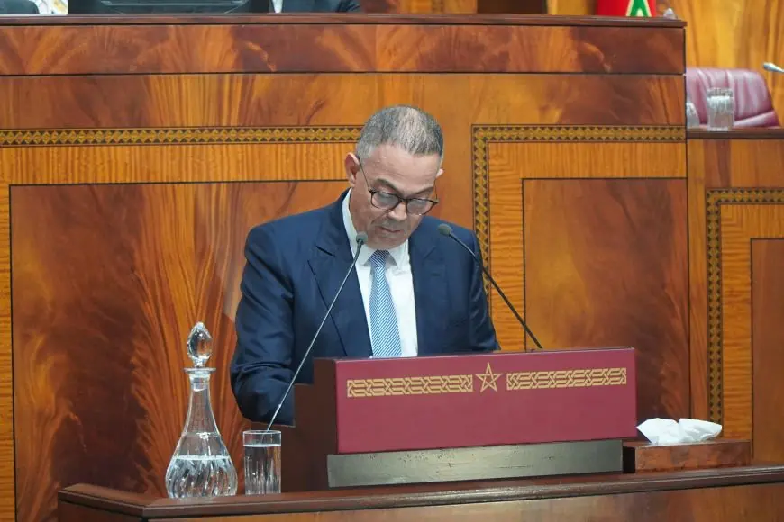 لقجع: مجانية فاتورة الكهرباء التي تقل عن 100 درهم تدخل حيز التنفيذ في يناير 2027