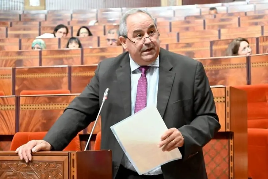 ميداوي: بطالة حاملي الإجازة تتجاوز 20% بالمغرب