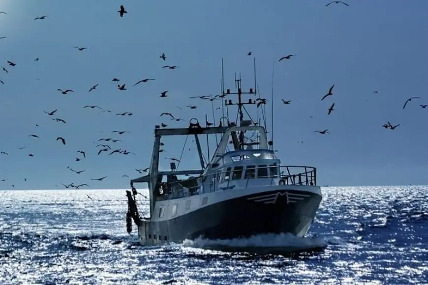 Pêche en Atlantique marocain : La Russie vise 100.000 tonnes de captures par an