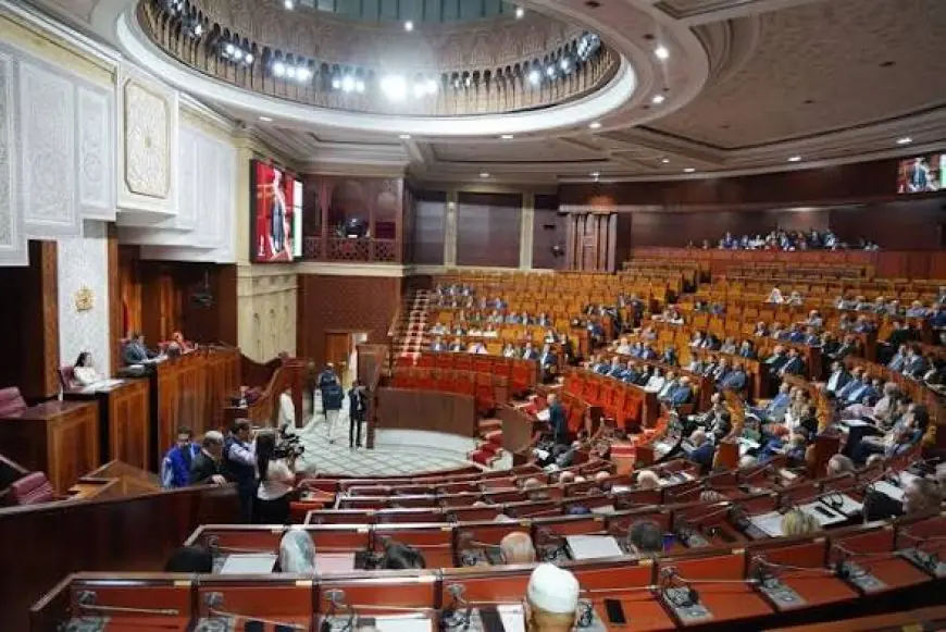 الومغاري: غياب مشاريع اقتصادية حقيقية يبقي النمو رهينا بالتساقطات المطرية