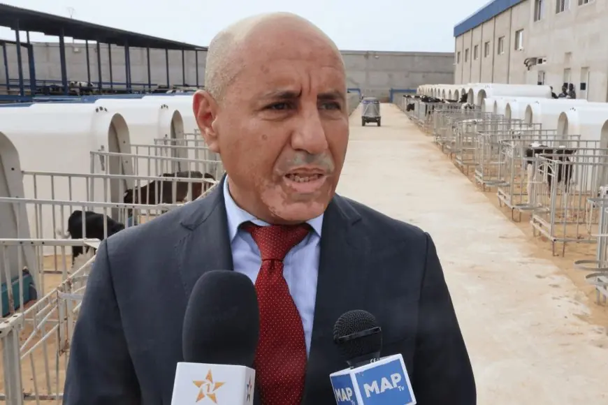 Agriculture : six bassins de production pour renforcer la souveraineté alimentaire du Maroc
